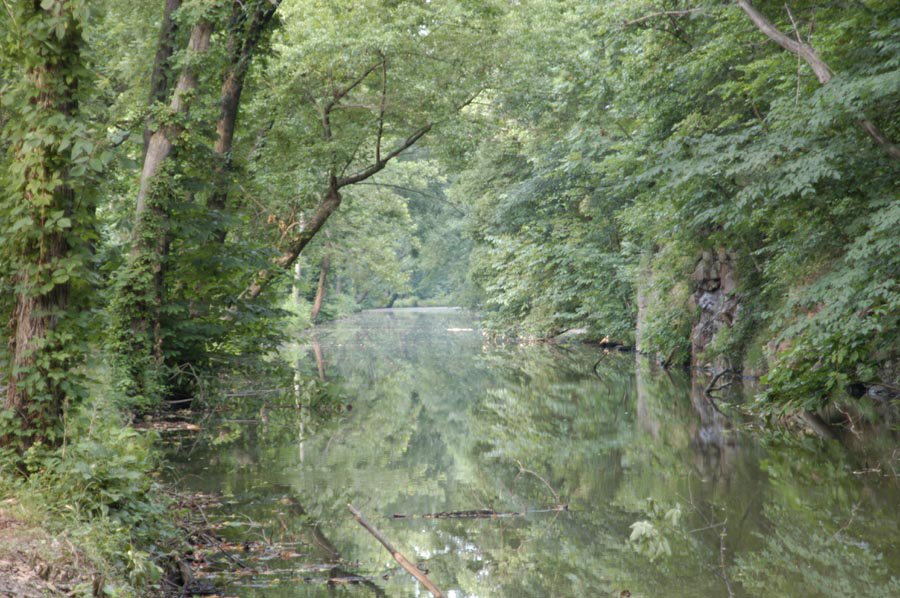 Near Dickerson